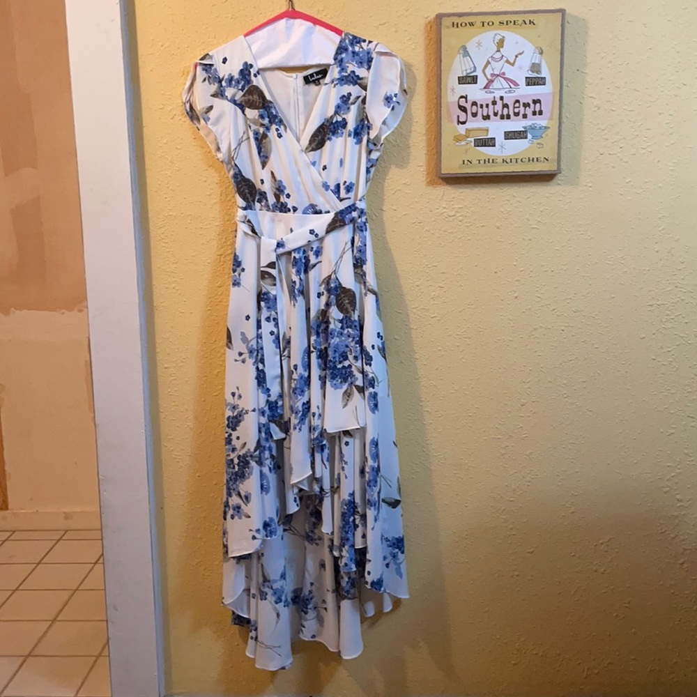 Lulu’s French Countryside Dress